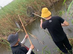 -南汇嘴观海公园