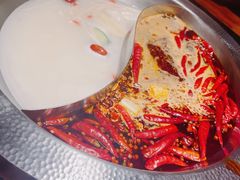-宽巷子成都火锅(南站店)