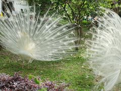 -宁波野生动物园