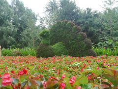 -长白岛森林公园