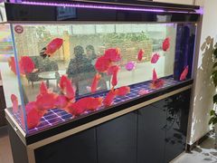 -上海和展广汽丰田4S店(老闵行店)