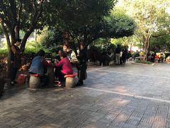 -白沙古井