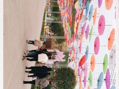 -都江堰玫瑰花溪谷
