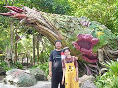 -奥兰多迪士尼动物王国乐园