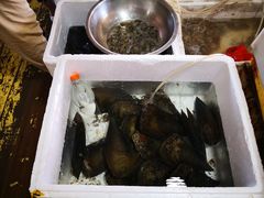 -罗源湾8号渔排