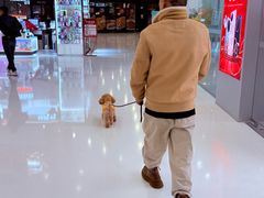 -万达广场(浦江店)