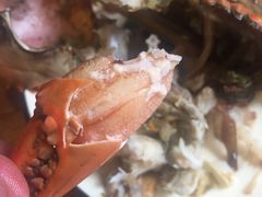 同安煎蟹-聪辉同安老美食饭店(大元路店)