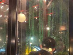 -COMMUNE幻师(天品西岸店)