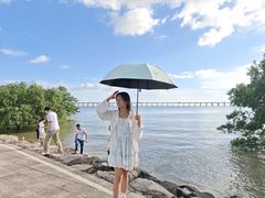 -宝安西湾红树林湿地公园