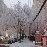 白雪却嫌春色晚，故穿庭树作飞花