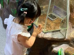 -上海大自然野生昆虫馆(东方明珠·爬宠昆虫探索中心)