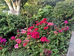 -浙江西子宾馆·瑶园咖啡厅