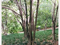-汇龙潭