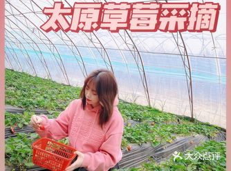 太原周末游 ｜ 晋祠公园草莓采摘