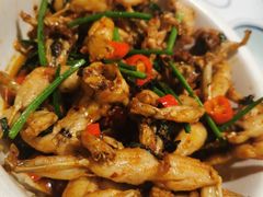爆炒田鸡-壹盏灯(惠农店)