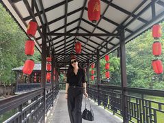 -侨美·唐荔园·40年地道粤菜