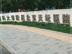 -首都医科大学附属北京天坛医院