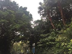 -九龙公园