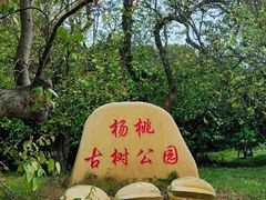 -梅州天地人花园酒店(梅县人民广场店)