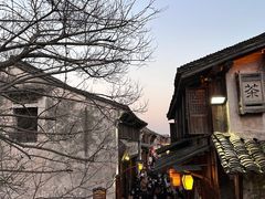 -乌镇枕水度假酒店