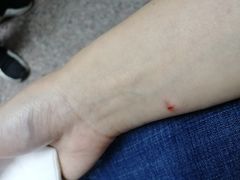 -广州中医药大学第三附属医院(骨伤科分院)