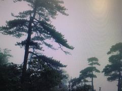 -东天目山风景区