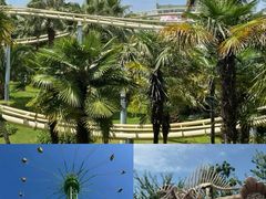 -七彩云南欢乐世界