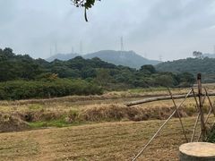 -清溪大王山森林公园