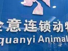 -全心全意连锁动物医院·微创中心·内科急重症·心脏专科(丰管路店)