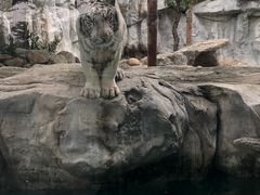 -灵玲国际马戏城
