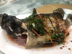 -四姑娘川味海鲜(八爪鱼店)