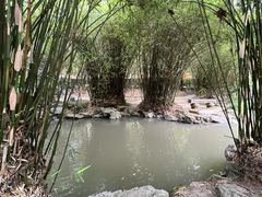-汇龙潭