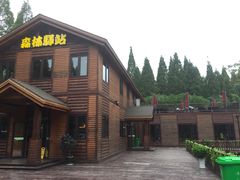 -黄海国家森林公园