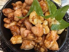 -丁老爷子苏香圆