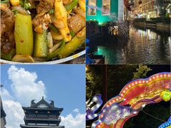 -盐城丹顶鹤湿地生态旅游区