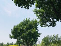 -长白岛森林公园