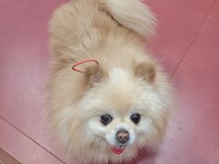 -和它·交个朋友·狗咖猫咖(爱琴海店)