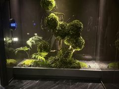 -唐宫足道·SPA·影院会馆(木渎店)