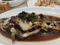 -金华安大酒楼·老牌潮菜·粤式茶点(东方国际店)