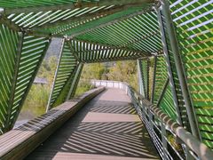 -西湖风景区-江洋畈生态公园