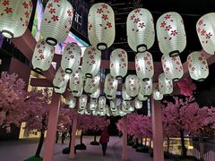 -金茂览秀城