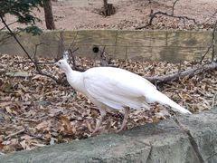 -大连老虎滩海洋公园