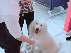 -肆兮眼镜·蔡司·徕卡战略合作店(大坪店)