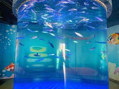 -北戴河圣蓝海洋公园