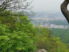 -紫金山山顶公园