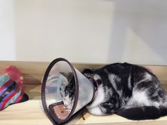 -一品格美术·中考高中成人美术培训