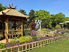 -上海共青森林公园