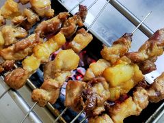 -老广烧烤(骆驼山康馨园店)