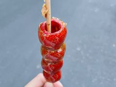 -和禄德冰糖葫芦