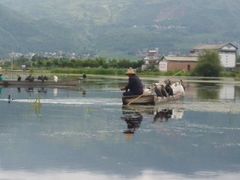 -大理洱源西湖景区